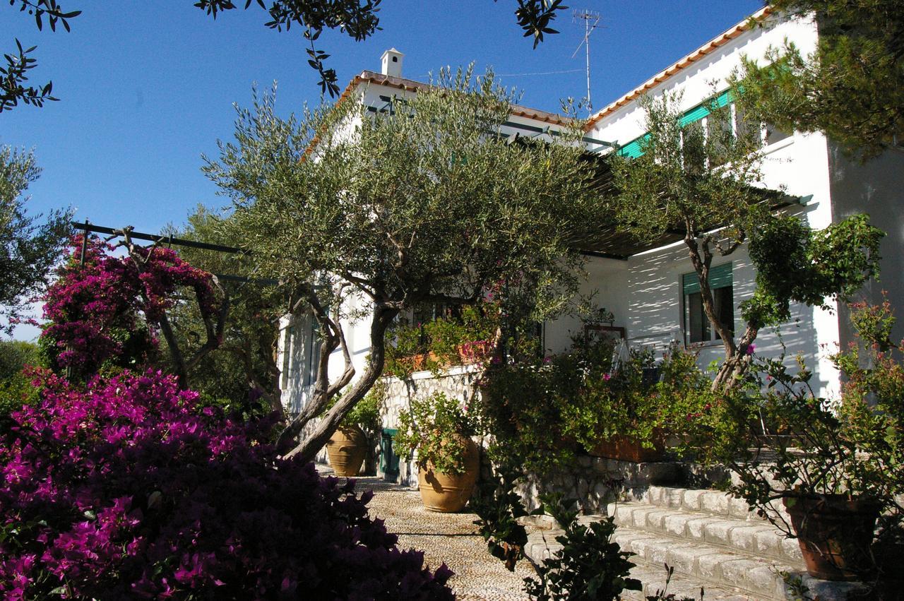 Il Rifugio B&B Capri Anacapri  Eksteriør bilde
