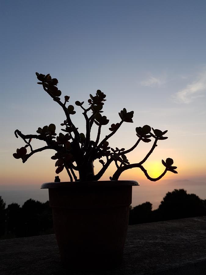 Il Rifugio B&B Capri Anacapri  Eksteriør bilde