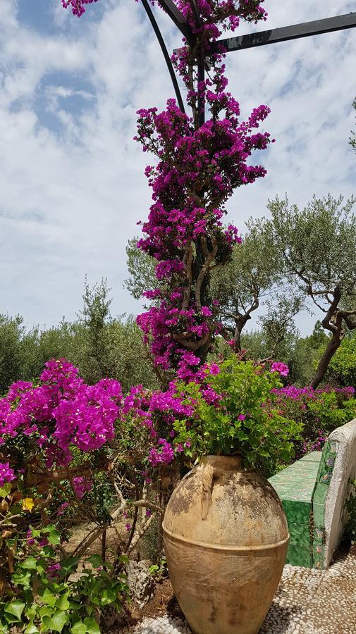 Il Rifugio B&B Capri Anacapri  Eksteriør bilde