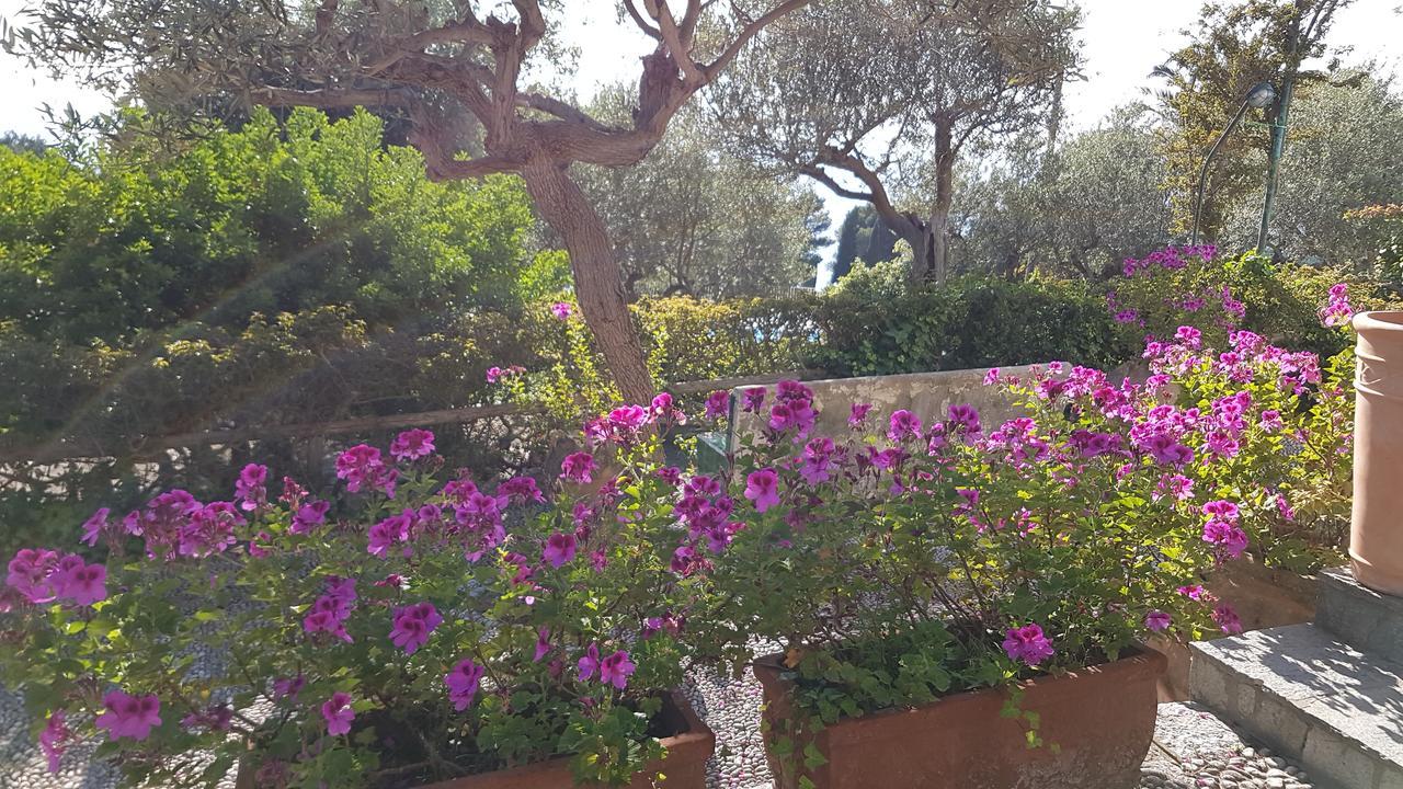 Il Rifugio B&B Capri Anacapri  Eksteriør bilde